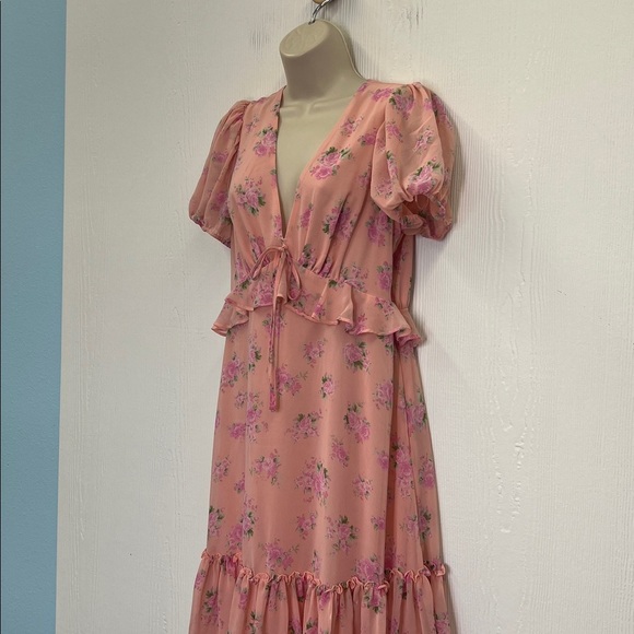 LoveShackFactory X Target - Fleur Chiffon Pink Floral Lined Maxi Dress Size 8 - Picture 6 of 12
